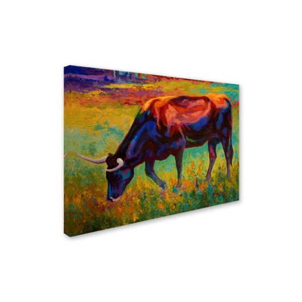 Marion Rose 'Grazing Longhorn' Canvas Art,18x24